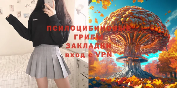 соль ск Балабаново