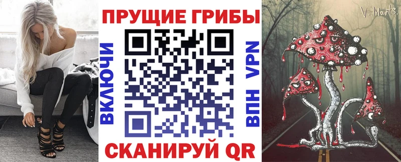 площадка как зайти  Орлов  Галлюциногенные грибы MAGIC MUSHROOMS 